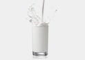 Milk & Dairy analysis