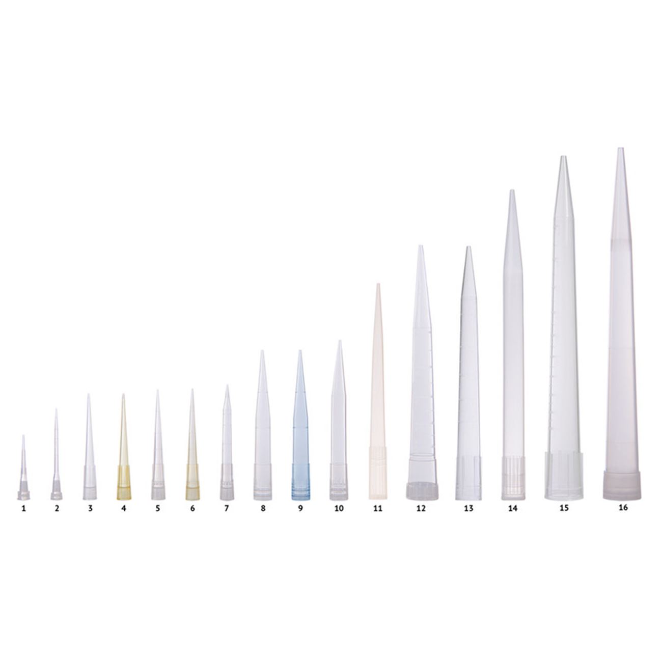 Pipette tips 0.1-10 µl, non sterile, transparent, graduated, pack of 1000  pcs, bulk, LABSOLUTE®, Art. No. 7695840 < Pipettes | Analytika